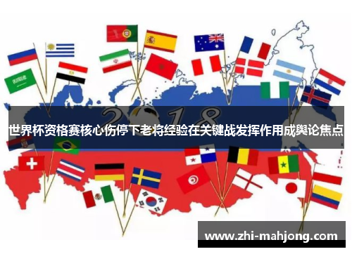 世界杯资格赛核心伤停下老将经验在关键战发挥作用成舆论焦点